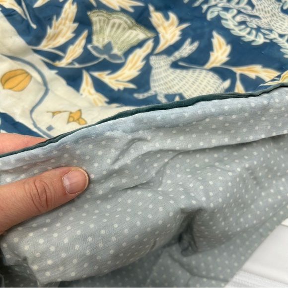 Anthropologie Paravel Standard Euro Pillow Shams Set (Two) - Picture 8 of 9